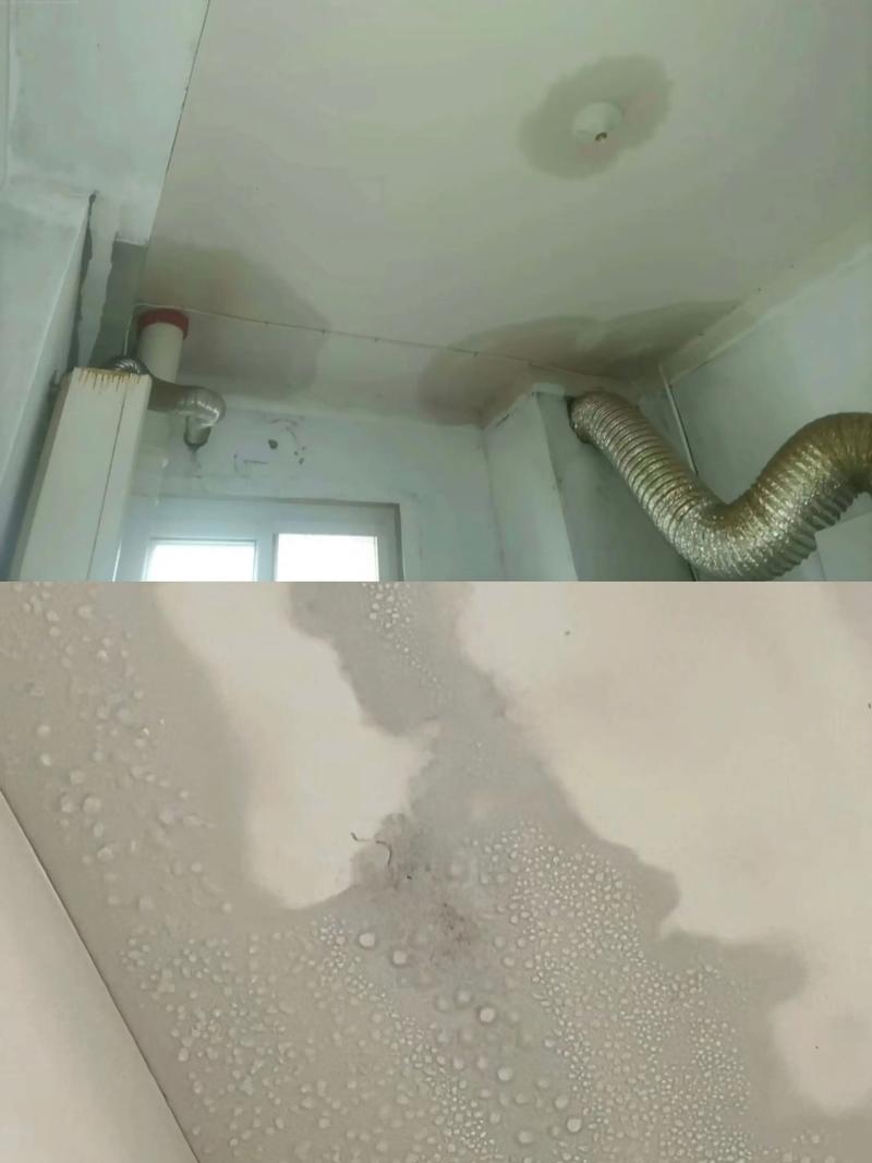 广州防水补漏:应对潮湿的智慧之选